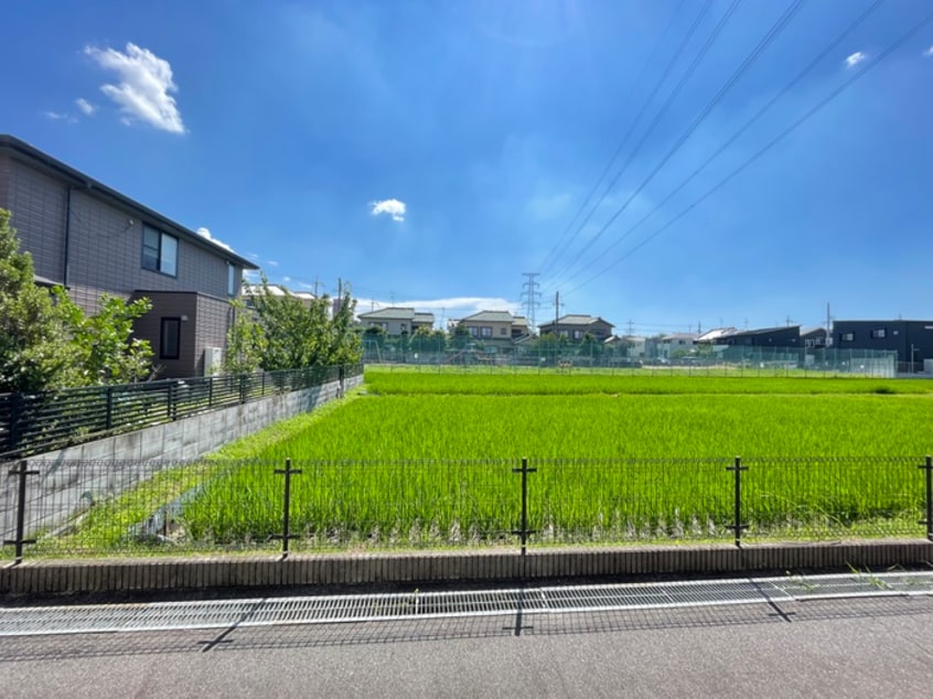 室内からの展望 Cozy House　Guminoki