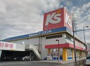 ケーズデンキ(電気量販店/ホームセンター)まで487m ベルドミ－ル