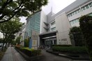 堺市北区役所(役所)まで889m ベルドミ－ル