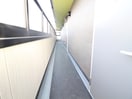 その他 Ｌｏｆｔ　ＭＤ