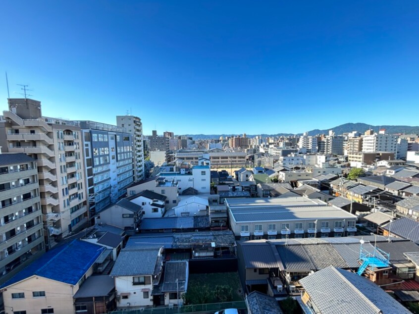 室内からの展望 パティオ林