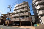 パティオシンシア