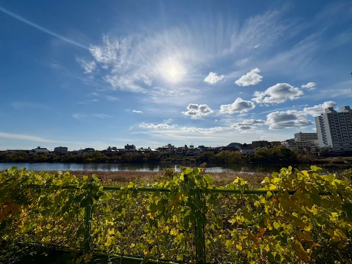 室内からの展望 ガゼルノア宝塚武庫川