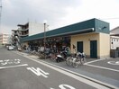 マルヒ(スーパー)まで523m イズミハイツ