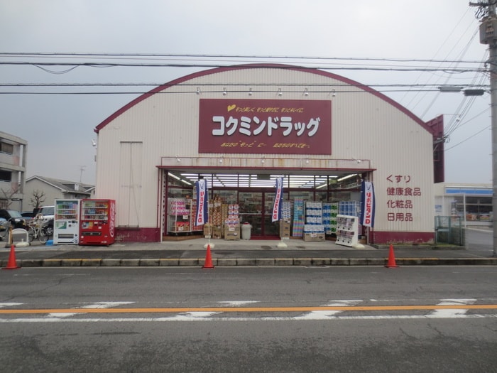 コクミンドラッグ(ドラッグストア)まで500m エクセル深阪