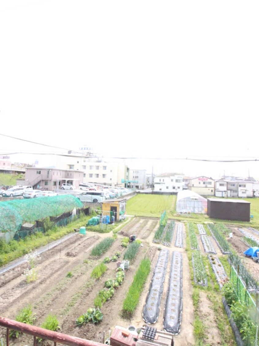 室内からの展望 緑町貸家