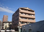 ひまわり