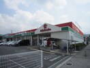 キリン堂河内磐船店(ドラッグストア)まで217m Ｌａ　Ｃａｓｉｔａ