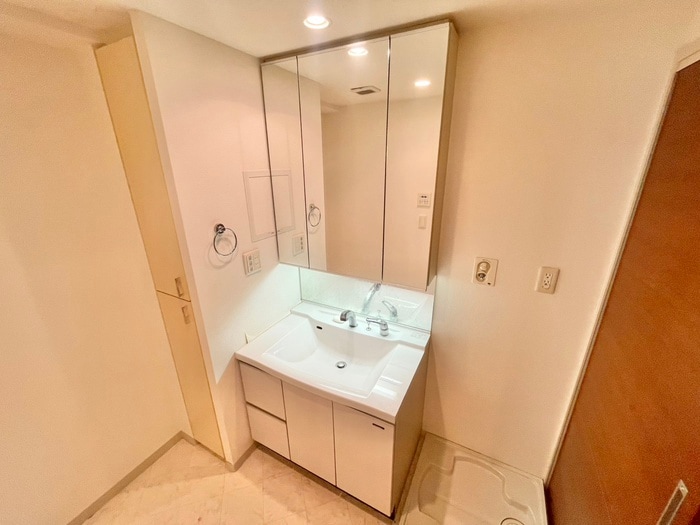 洗面 ロイヤルパ－クス桃坂