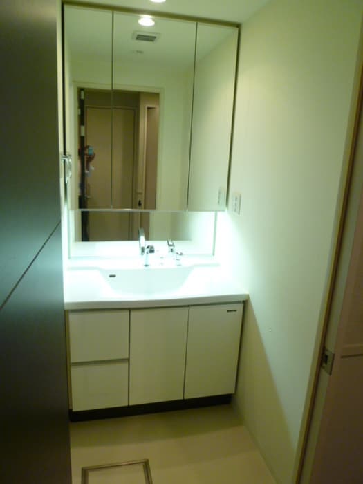 洗面 ロイヤルパ－クス桃坂