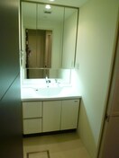 洗面 ロイヤルパ－クス桃坂