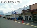 サンディ(スーパー)まで350m カンファーツリーＣ