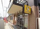 CoCo壱番屋(その他飲食（ファミレスなど）)まで350m 仮）大久保町大窪新築アパート