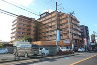 Ｂｅｅ Ｂｅｅ Ｇｒａｎｄｅ