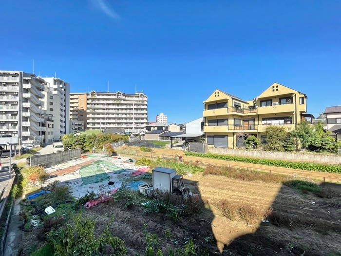 室内からの展望 フォレストインサイド１