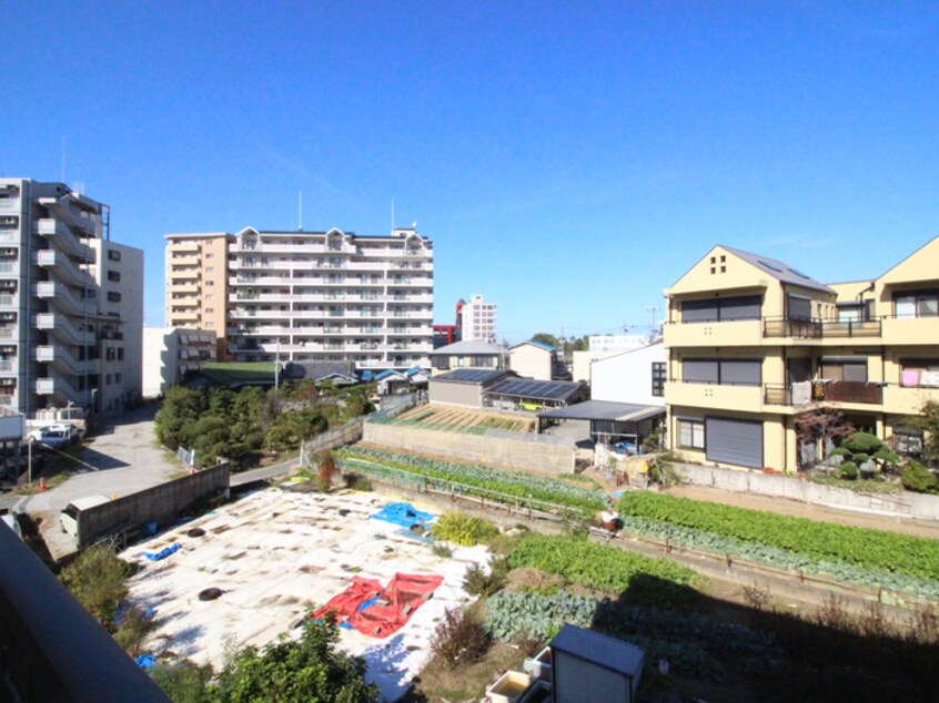 室内からの展望 フォレストインサイド１