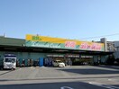 ジャパン箕面店(ディスカウントショップ)まで405m 福和ハイツ