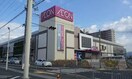 イオン貝塚店(ショッピングセンター/アウトレットモール)まで153m ハイツ山本Ｅ棟