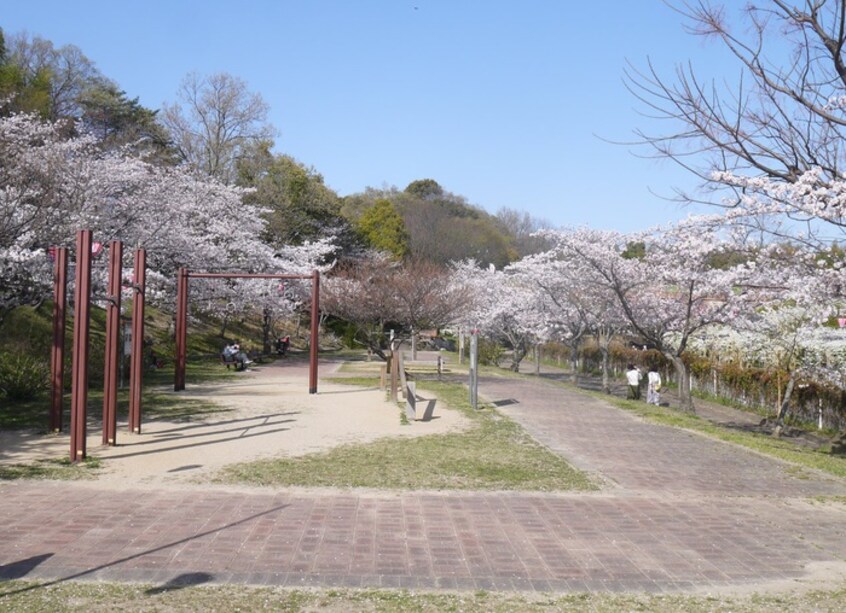 寝屋川公園(公園)まで700m フォンスライズ