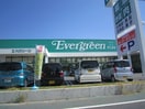 エバグリーン(ディスカウントショップ)まで140m ハイツニシカワ