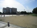 東雲公園(公園)まで451m エクシブ三国ヶ丘
