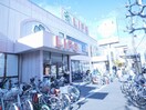 ライフ西七条店(スーパー)まで270m 花