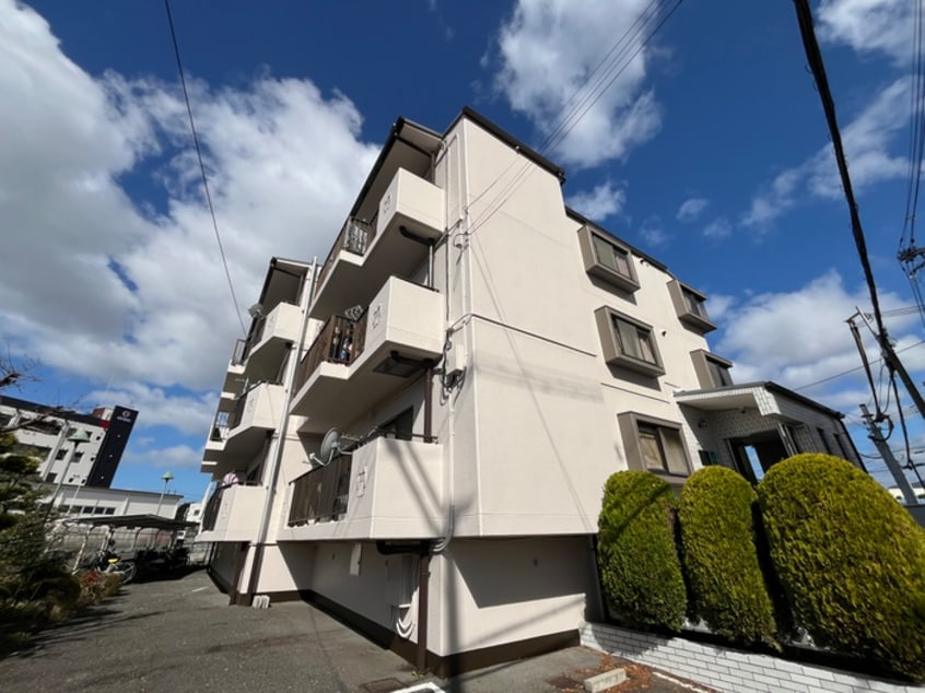 外観写真 中マンション