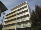 ＭＡＩＳＯＮ　ＮＯＢＬＥ