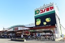 コノミヤ(スーパー)まで1900m フィアスコート鈴ノ宮