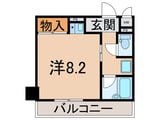 クッキィーセタ