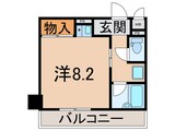 クッキィーセタ