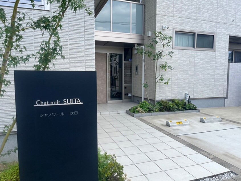 その他 シャノワールｓｕｉｔａ