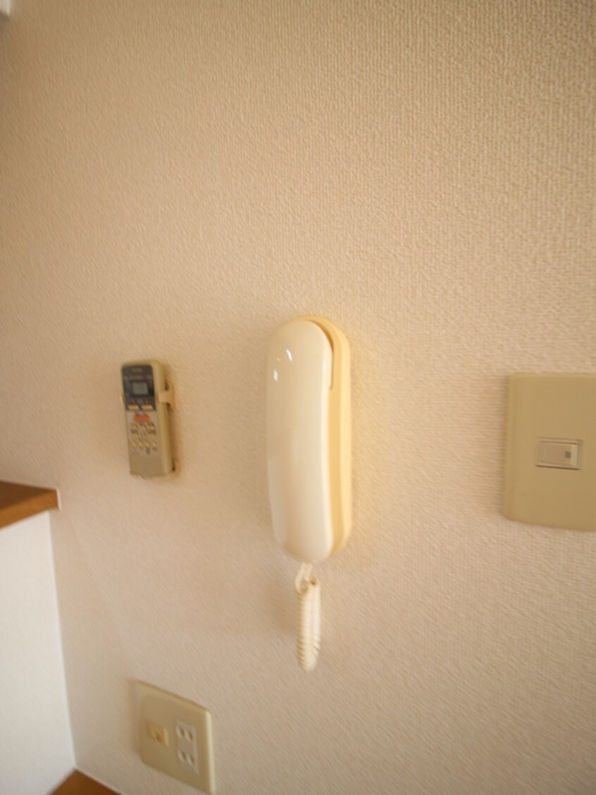 内観写真 サウスフラワ