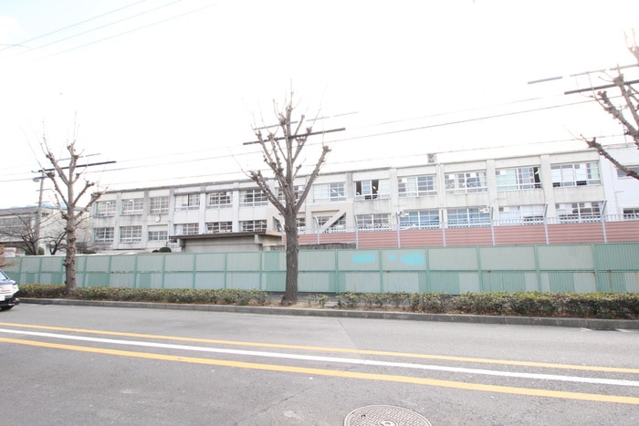 若江小学校(小学校)まで328m サウスフラワ