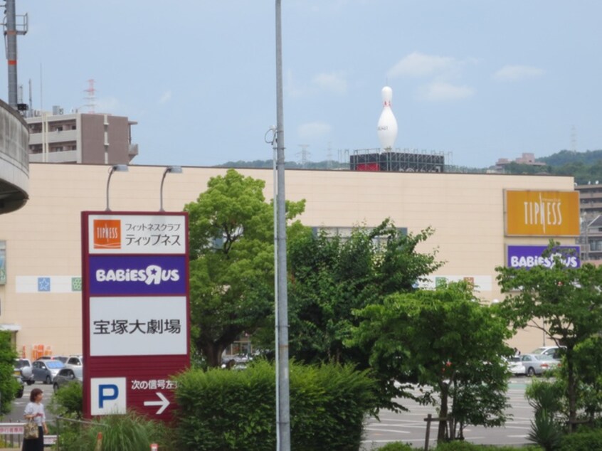 ベビザラス(ディスカウントショップ)まで550m ハイツ７７