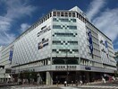 京阪モール(ショッピングセンター/アウトレットモール)まで250m フェニックスコート