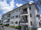 パレットマンションの外観