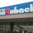 スーパーまるはち(スーパー)まで210m プルミエ－ル　ハルク