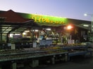 ロイヤルホームセンター(電気量販店/ホームセンター)まで900m ハイツタナカ