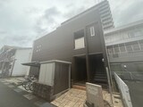 チェリーブロッサム