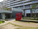 図書館(図書館)まで510m マンション柳川