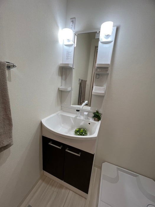 洗面 フジパレス高井田西Ⅴ番館