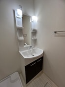 洗面 フジパレス高井田西Ⅴ番館