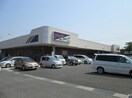 マルアイ森田店(スーパー)まで400m Ｙｓコ－トＡ棟