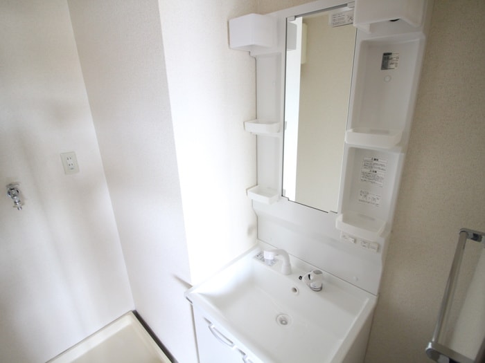 洗面 ソレイユ段上