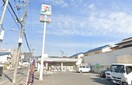 セブンイレブン高槻野田2丁目店(コンビニ)まで900m エバ－コ－ト高槻