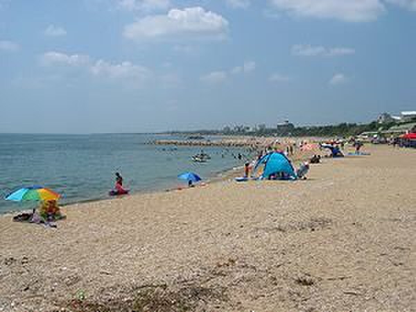松江海岸(公園)まで250m 志賀ビル