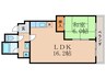 サンフローラ一本道 1LDKの間取り