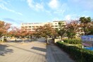 急性期総合医療センター(病院)まで800m テイム南住吉