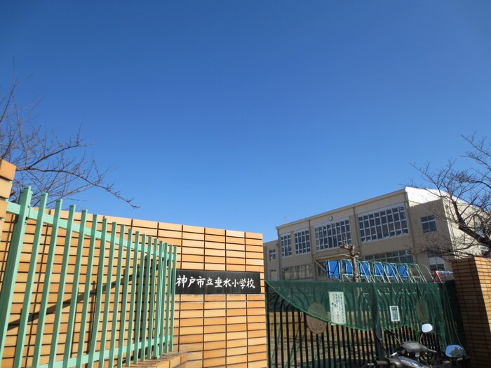 垂水小学校(小学校)まで600m 大康ハイツ